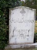 image number OCalllaghan